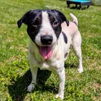 Thumbnail photo of Weeman #1