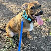 Thumbnail photo of Jamie #2