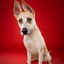 Thumbnail photo of Hermes #2