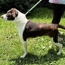 Thumbnail photo of Zephyr #2