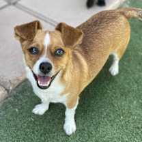 Thumbnail photo of Tito #1