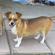 Thumbnail photo of Tito #2