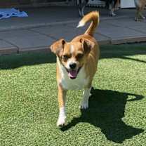 Thumbnail photo of Tito #3