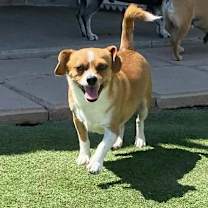 Thumbnail photo of Tito #4