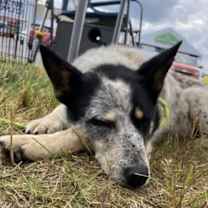 Thumbnail photo of Sky #4