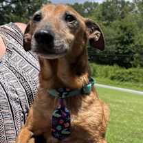 Thumbnail photo of Frederick #1