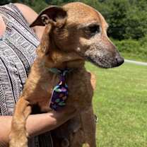 Thumbnail photo of Frederick #2