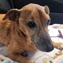 Thumbnail photo of Frederick #3