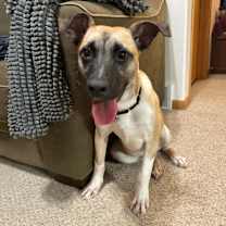 Thumbnail photo of Jameson #3