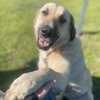 Thumbnail photo of Pretty Girl #2