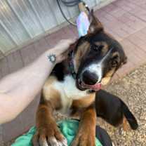 Thumbnail photo of Fiona #1