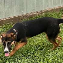 Thumbnail photo of Fiona #2