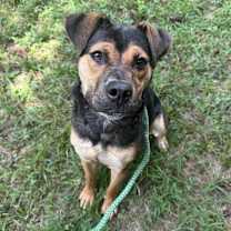 Thumbnail photo of Hazel #3