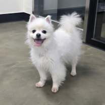 Thumbnail photo of Star #3