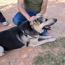 Thumbnail photo of Max #3