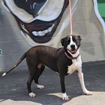 Thumbnail photo of Martha #1