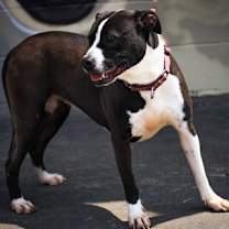 Thumbnail photo of Martha #2