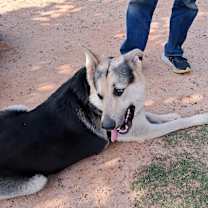 Thumbnail photo of Max #4