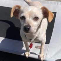 Thumbnail photo of Lady Bug #1