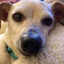 Thumbnail photo of Lady Bug #3