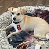 Thumbnail photo of Zeke/Diego #1