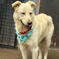 Thumbnail photo of Popi Mike #2