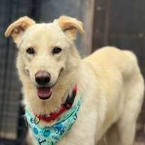 Thumbnail photo of Popi Mike #3