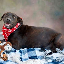 Thumbnail photo of Lisa #1