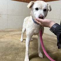 Thumbnail photo of Yooah #4