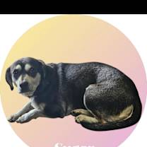 Thumbnail photo of Sugar #2