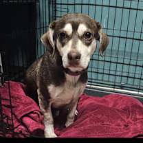 Thumbnail photo of Sugar #3