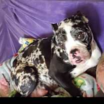 Thumbnail photo of Paige #2