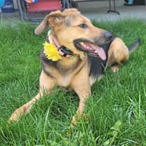 Thumbnail photo of Penny #2