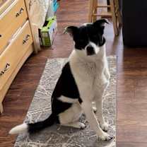 Thumbnail photo of Watson #3