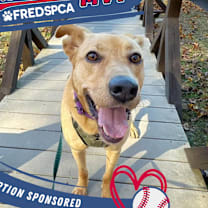 Thumbnail photo of Savannah #1