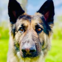 Thumbnail photo of Phoenix #1