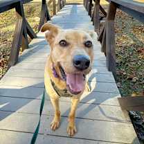 Thumbnail photo of Savannah #3