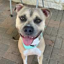 Thumbnail photo of Luca #1