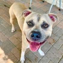 Thumbnail photo of Luca #2