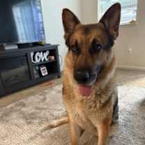 Thumbnail photo of Sheldon #3