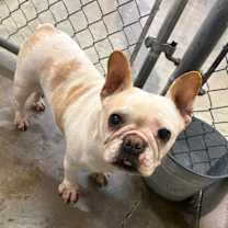 Thumbnail photo of Tasha #2