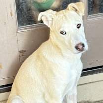 Thumbnail photo of Stella #1