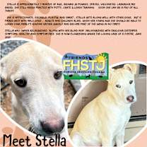 Thumbnail photo of Stella #4