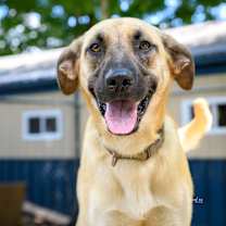 Thumbnail photo of Freedom #1