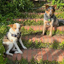 Thumbnail photo of JAMESON #3