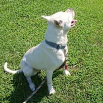 Thumbnail photo of Elsa #3