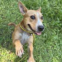 Thumbnail photo of Ginny #1