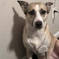 Thumbnail photo of Penelope #4