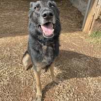 Thumbnail photo of Pablo #2