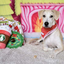 Thumbnail photo of Katie #1